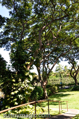 Maui Suncoast Realty