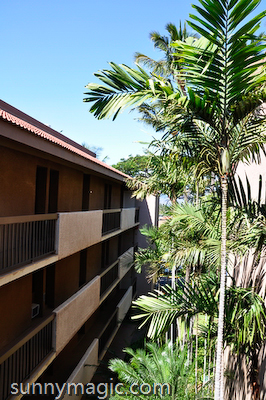 Maui Suncoast Realty