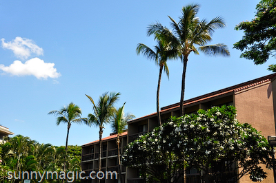 Maui Suncoast Realty