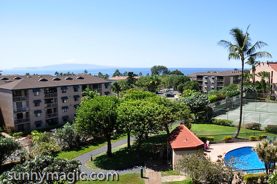 Maui Suncoast Realty