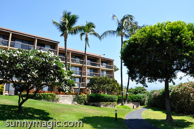 Maui Suncoast Realty