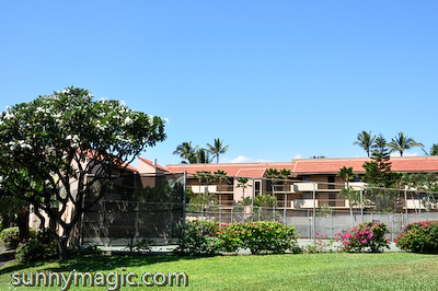 Maui Suncoast Realty