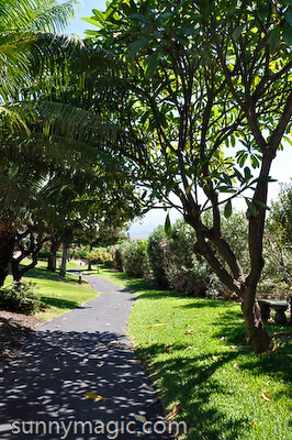 Maui Suncoast Realty