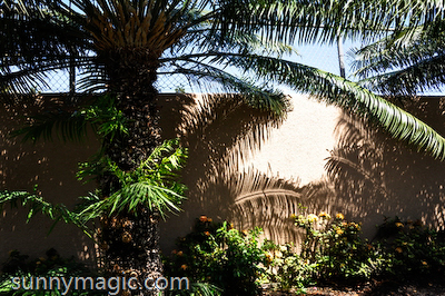 Maui Suncoast Realty