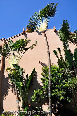 Maui Suncoast Realty