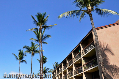 Maui Suncoast Realty