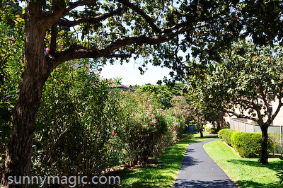 Maui Suncoast Realty
