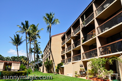 Maui Suncoast Realty