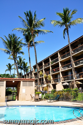 Maui Suncoast Realty